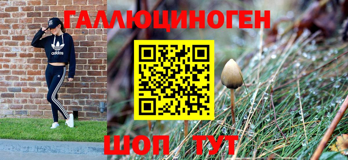 Губкинский  Галлюциногенные грибы GOLDEN TEACHER  Вход с VPN 